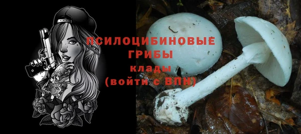 бошки Арсеньев