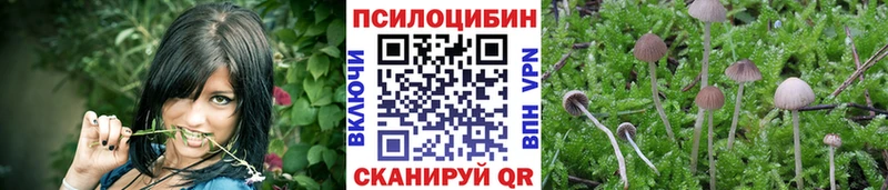 МЕГА   Калач-на-Дону  нарко площадка состав  Галлюциногенные грибы Magic Shrooms 